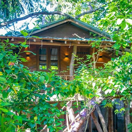 Hotel Dambulla Wilderness World מראה חיצוני תמונה