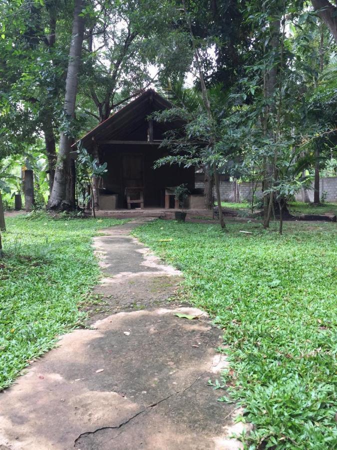 Hotel Dambulla Wilderness World מראה חיצוני תמונה