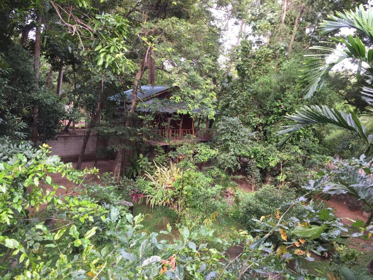 Hotel Dambulla Wilderness World מראה חיצוני תמונה