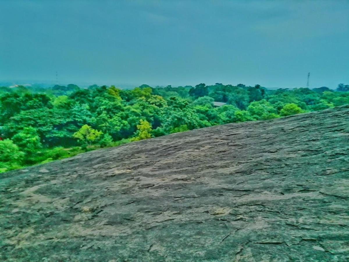 Hotel Dambulla Wilderness World מראה חיצוני תמונה