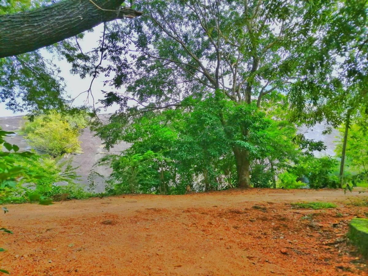 Hotel Dambulla Wilderness World מראה חיצוני תמונה