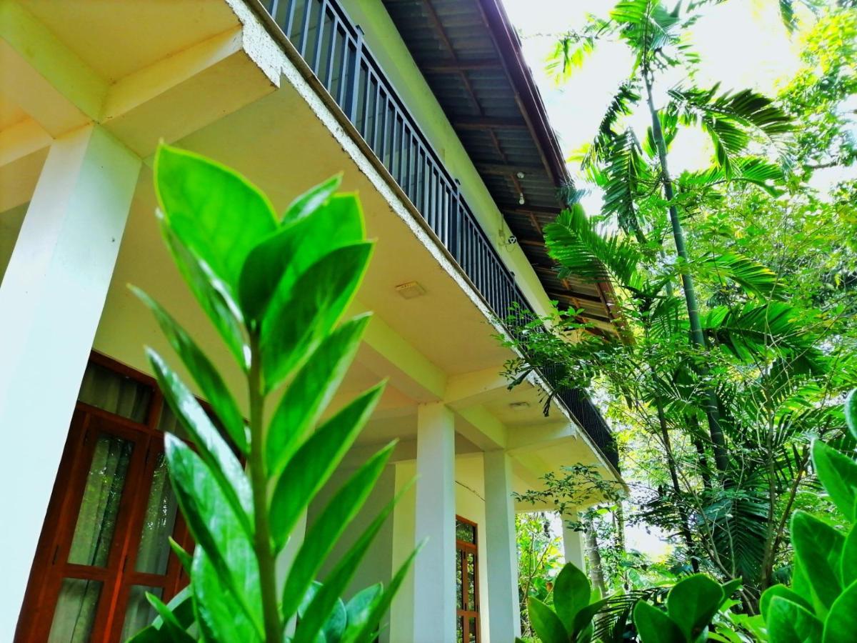 Hotel Dambulla Wilderness World מראה חיצוני תמונה