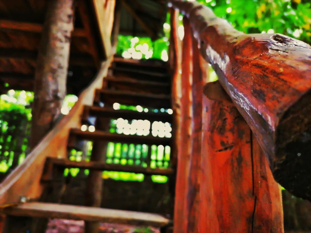 Hotel Dambulla Wilderness World מראה חיצוני תמונה