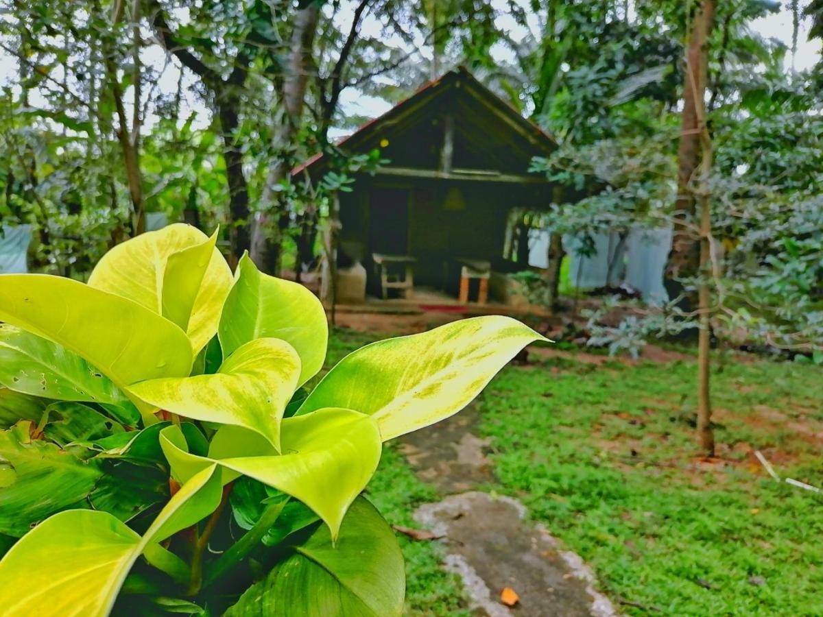 Hotel Dambulla Wilderness World מראה חיצוני תמונה