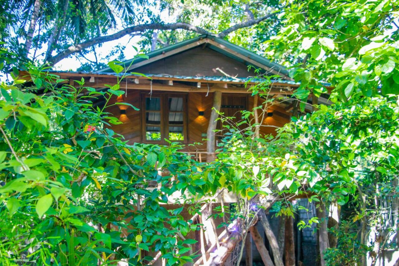 Hotel Dambulla Wilderness World מראה חיצוני תמונה