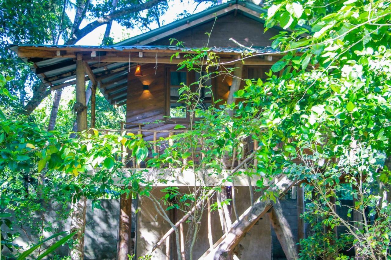 Hotel Dambulla Wilderness World מראה חיצוני תמונה